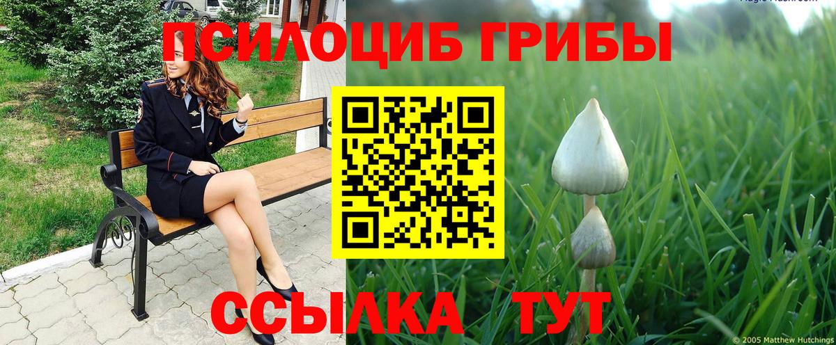 Псилоцибиновые грибы ЛСД Котельники