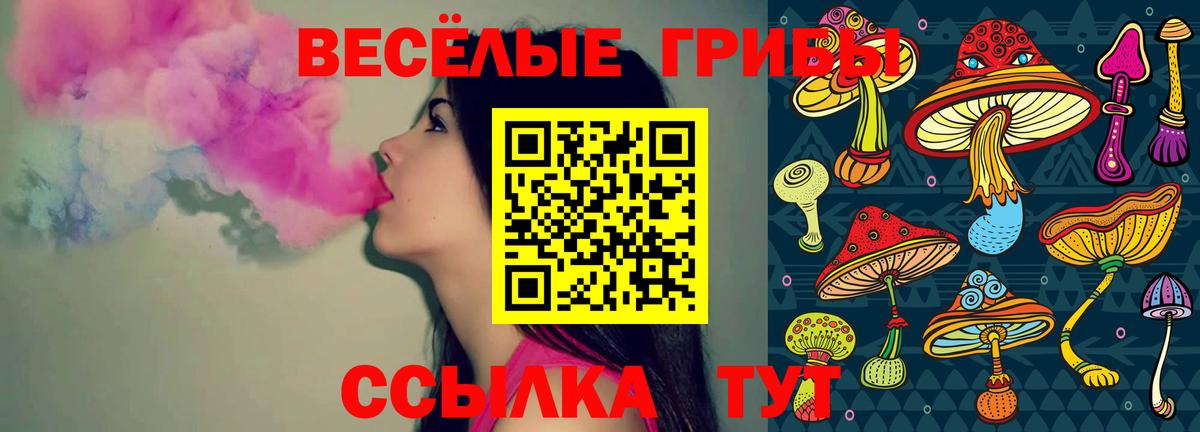 Котельники  Галлюциногенные грибы прущие грибы  Вход с VPN 